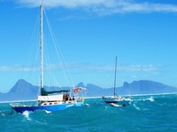 Jättevågor på Tahiti