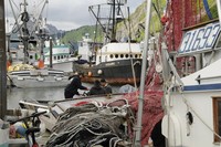 Kodiak och röra