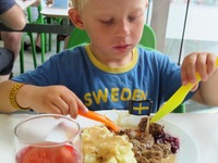 På snabbvisit i landet brunsås