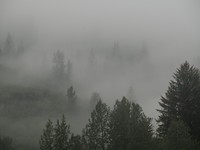 Regn och regn